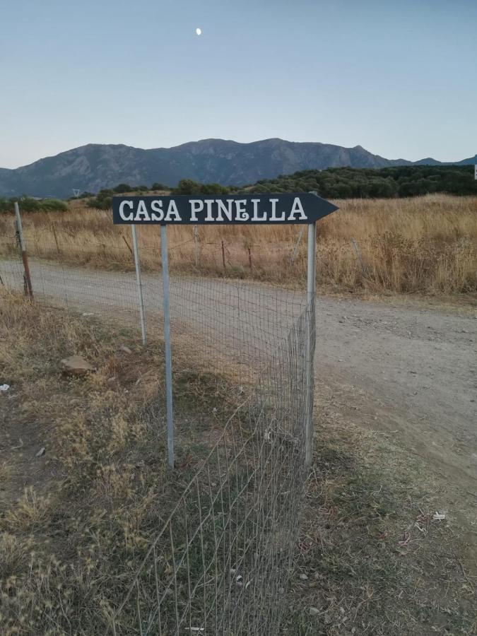 Casa Pinella Villa Villamassargia Екстериор снимка