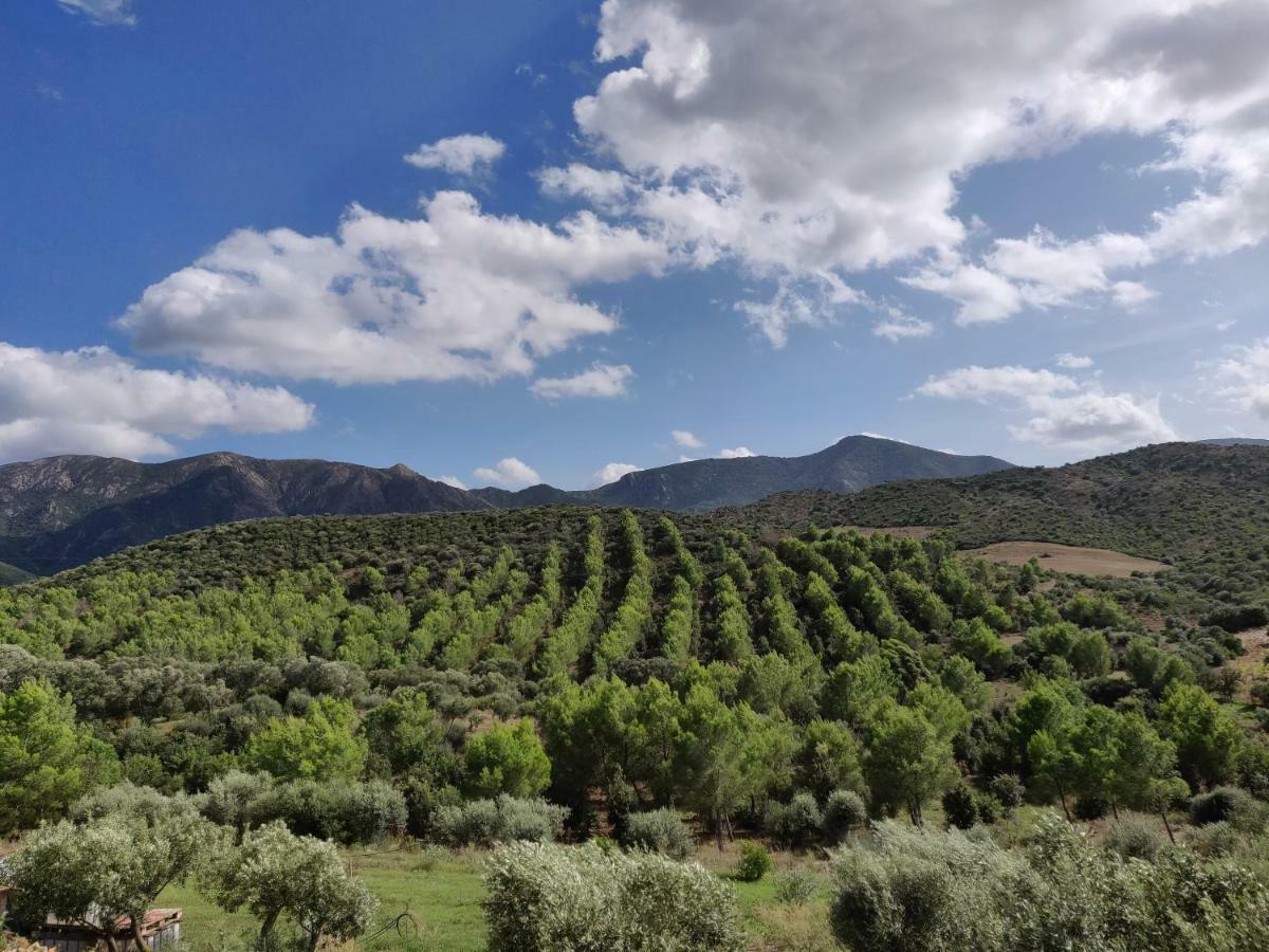 Casa Pinella Villa Villamassargia Екстериор снимка